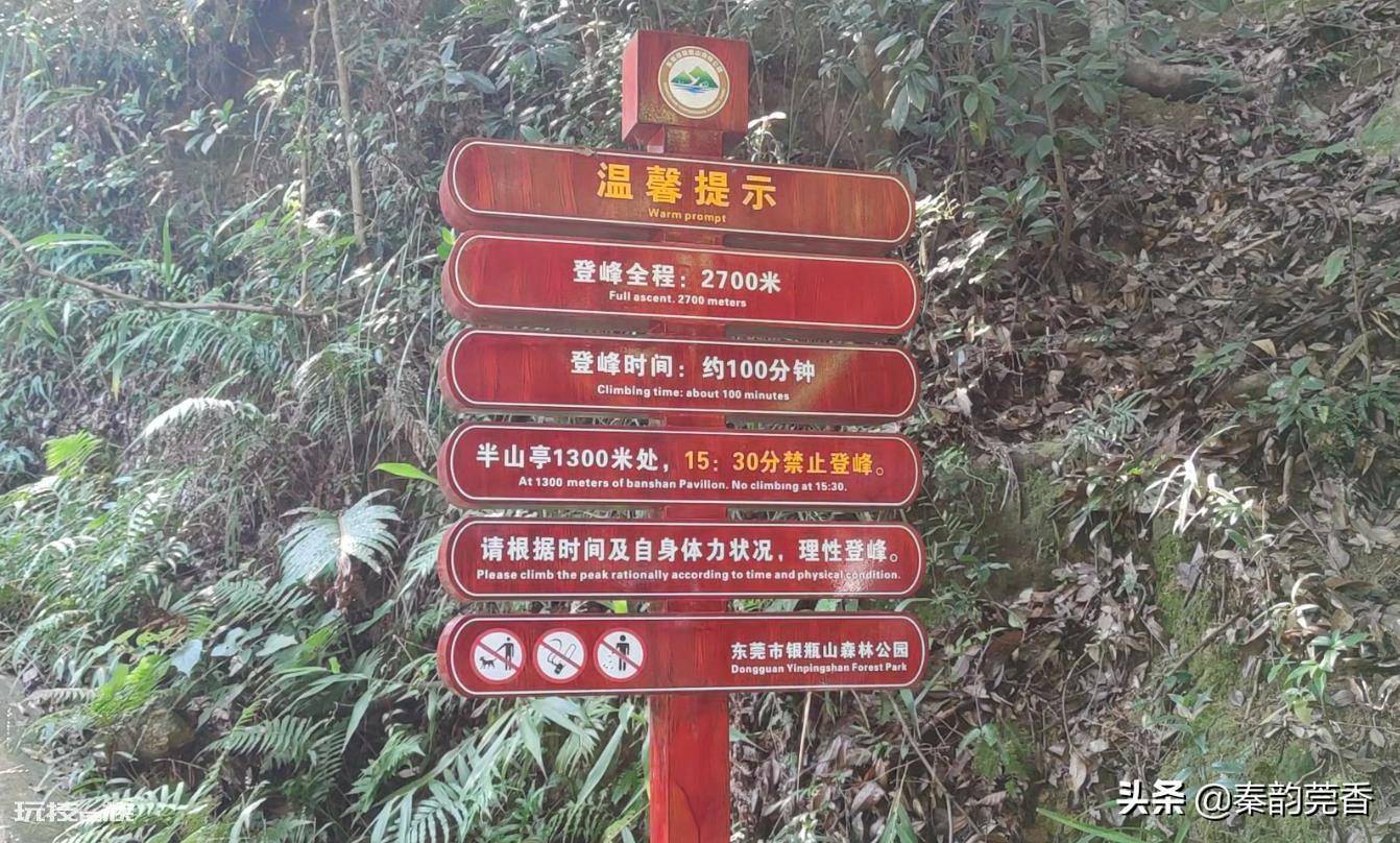 东莞第一高峰是什么山(分享登顶银瓶山的爬山攻略)-图片4